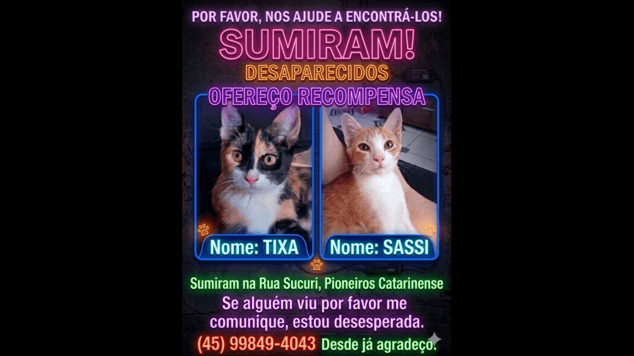 Gata Tixa e Sassi desapareceu no bairro Pioneiros Catarinenses Imagem referente a Gata Tixa e Sassi desapareceu no bairro Pioneiros Catarinenses