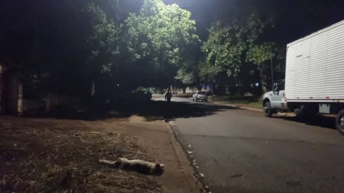 Cachorro morre e motociclista fica ferido em acidente no Floresta Imagem referente a Cachorro morre e motociclista fica ferido em acidente no Floresta