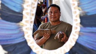 Indígenas relatam que desmatamento impacta produção de cocares