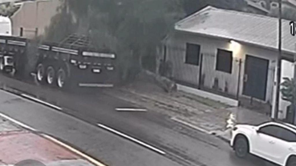 Câmera flagra queda de árvore no Bairro Cancelli