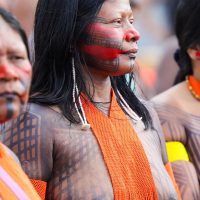 Imagem referente a Campanha vai aplicar 89 mil doses de vacinas em territórios indígenas