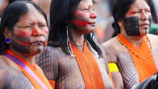 Campanha vai aplicar 89 mil doses de vacinas em territórios indígenas Campanha vai aplicar 89 mil doses de vacinas em territórios indígenas