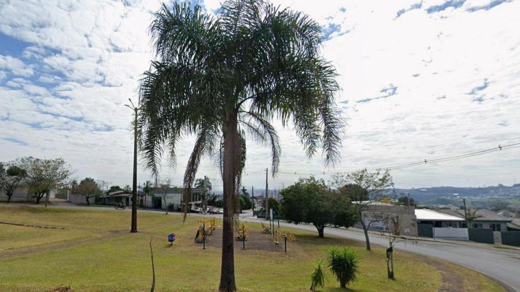 Suspeito foge, entra em luta com policiais e acaba preso com mandado ativo