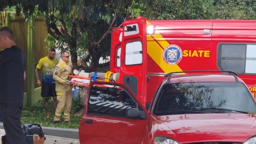 Escada escorrega e homem sofre queda durante poda de árvore