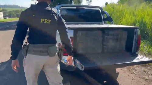 PRF apreende mais de 470 quilos de skunk em Maringá