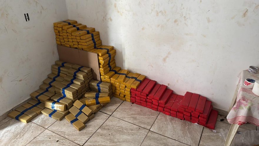 Polícia Civil apreende mais de 4 toneladas de maconha em Foz do Iguaçu