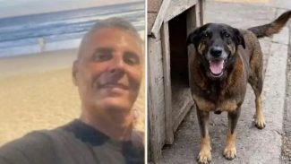 Empresário investigado no caso do cão “Orelha” morre após infarto em Florianópolis