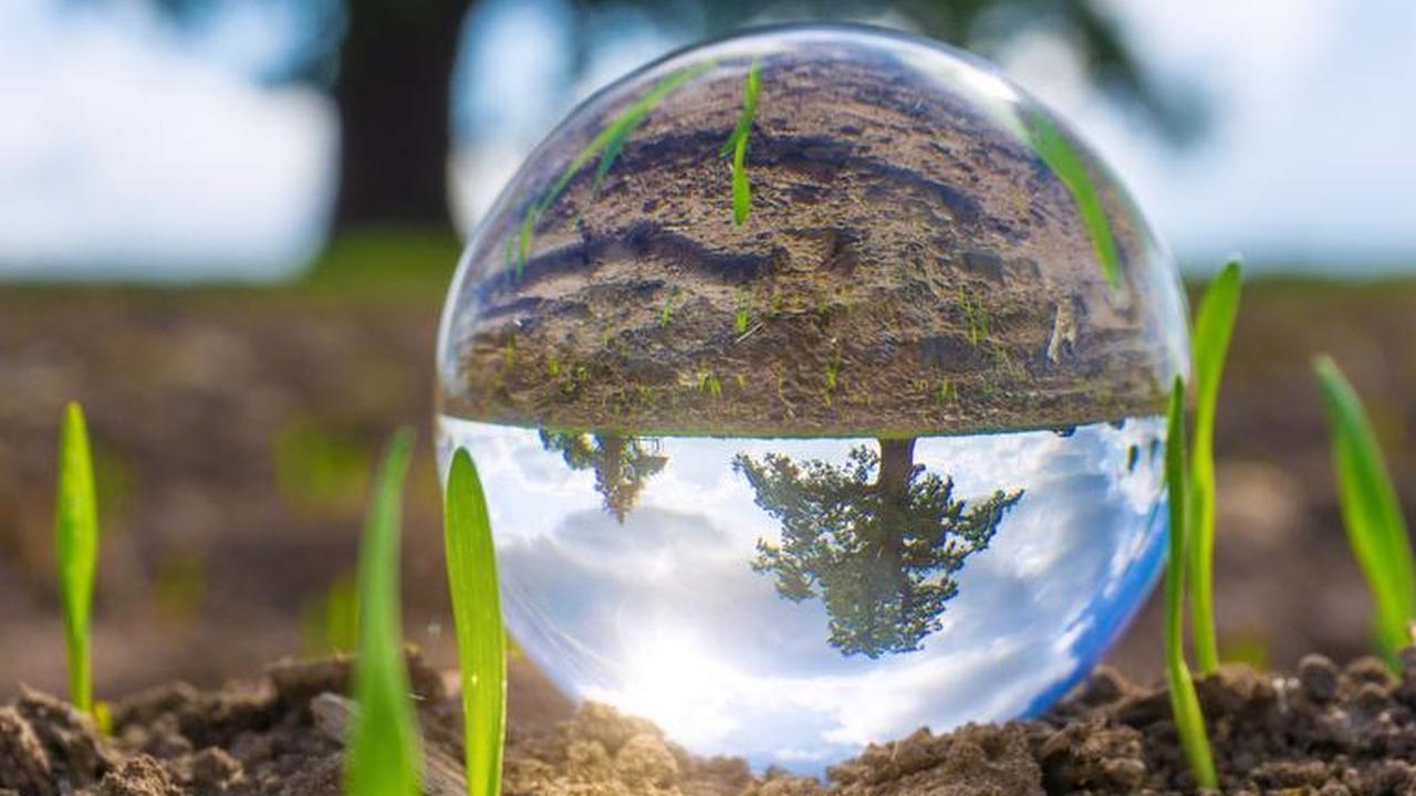Preservar o solo é garantir o futuro: data alerta para uso consciente Imagem referente a Preservar o solo é garantir o futuro: data alerta para uso consciente