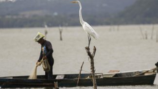 Mudanças aprovadas para o seguro-defeso previnem fraudes, diz relator