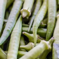 Imagem referente a Garantia-Safra: veja lista dos que receberão pagamento em abril