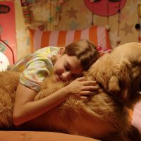 Imagem referente a Festival de cinema BIFF 2026 divulga programação e selecionados