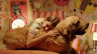 Festival de cinema BIFF 2026 divulga programação e selecionados