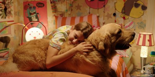 Festival de cinema BIFF 2026 divulga programação e selecionados Imagem referente a Festival de cinema BIFF 2026 divulga programação e selecionados