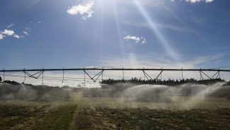 Ameaça sobre espécies dependentes do solo é desconhecida, diz estudo