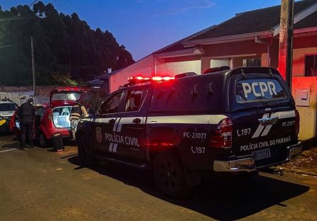 PCPR e PMPR prendem três pessoas em ação contra comércio ilegal de armas no Noroeste Imagem referente a PCPR e PMPR prendem três pessoas em ação contra comércio ilegal de armas no Noroeste