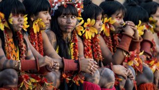 Programa de saúde do governo já atendeu mais de 24 mil indígenas