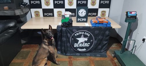 Denarc prende dois com mais de 30 kg de maconha na rodoviária de Cascavel Denarc prende dois com mais de 30 kg de maconha na rodoviária de Cascavel