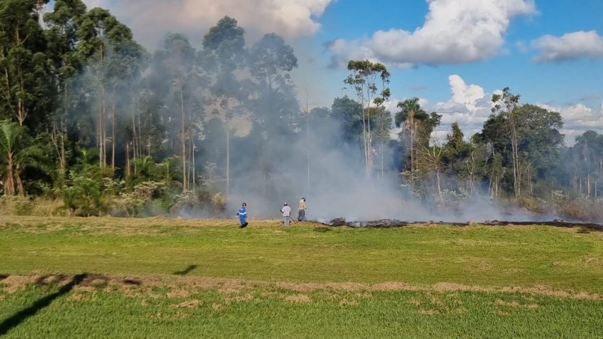 Incêndio ambiental mobiliza Bombeiros em Cascavel