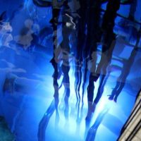 Imagem referente a Pesquisas em reator nuclear da USP serão feitas temporariamente em BH