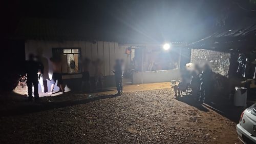 Polícia Civil apreende quase 400 kg de drogas em Cascavel durante Operação Rastreio