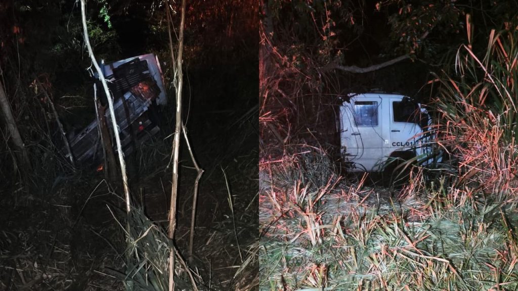 Caminhão sai da pista e colide contra árvores na PR 239