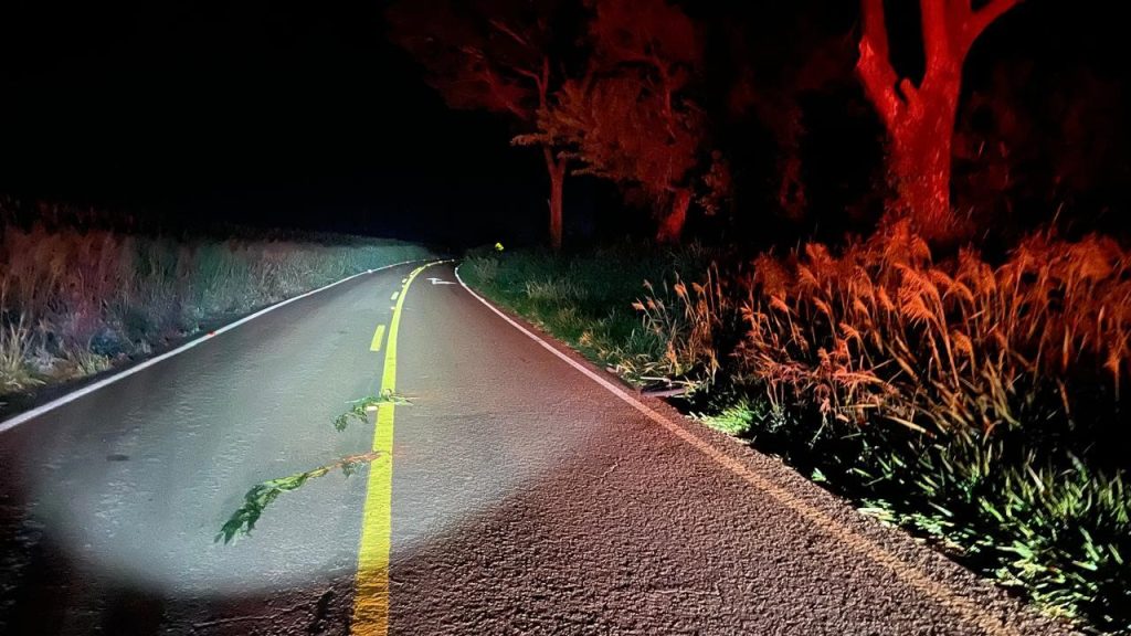 Homem que empurrava bicicleta morre atropelado; motorista fugiu na PRC-467