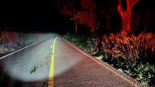 Homem que empurrava bicicleta morre atropelado; motorista fugiu na PRC-467