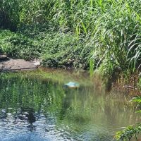 Imagem referente a Corpo é encontrado boiando em rio no Ecopark Oeste