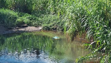 Imagem referente a Corpo é encontrado boiando em rio no Ecopark Oeste