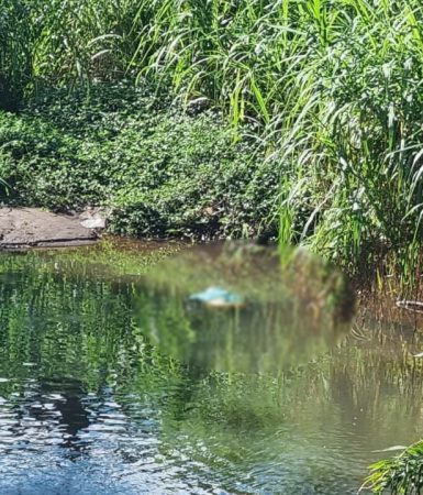 Imagem referente a Corpo é encontrado boiando em rio no Ecopark Oeste