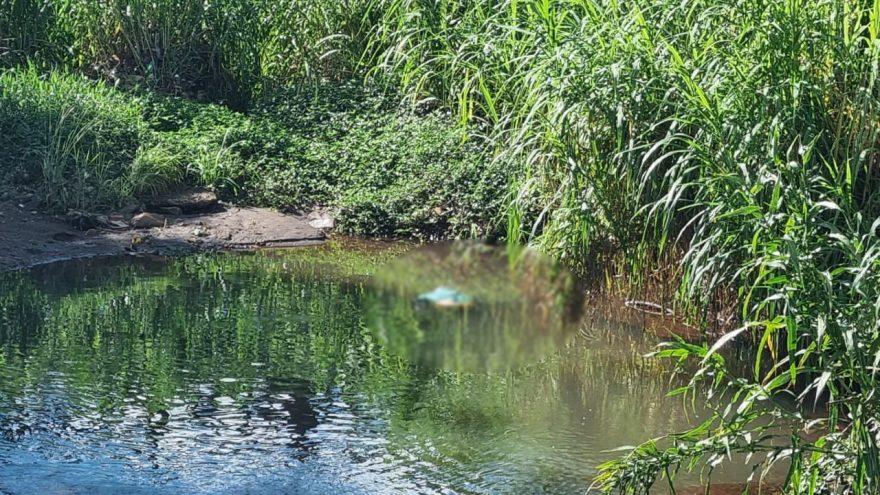Corpo é encontrado boiando em rio no Ecopark Oeste