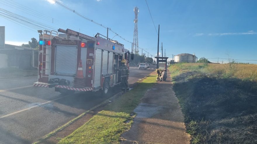 Incêndio destrói área de vegetação no Bairro Floresta