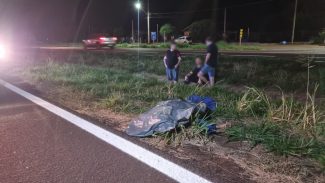 Homem de 65 anos morre atropelado ao atravessar BR-163 em Sede Alvorada