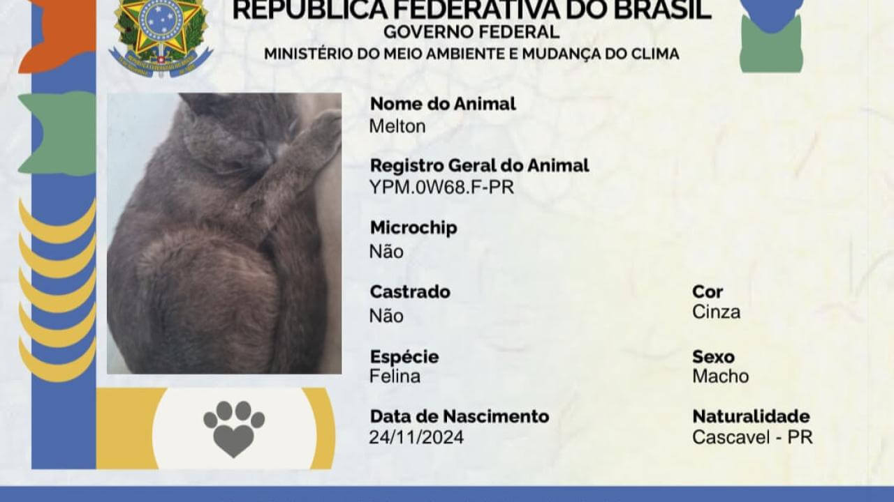 Gato Melton desapareceu no bairro Centro Imagem referente a Gato Melton desapareceu no bairro Centro