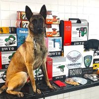 Imagem referente a Operação da GM em Cascavel desarticula tráfico e recupera ferramentas furtadas em Corbélia