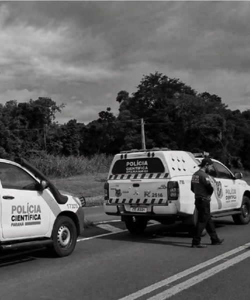 Imagem referente a Colégio onde menina estudava lamenta morte de criança de 7 anos em tragédia na BR-277