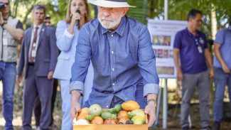Lula: qualidade do agro é essencial para ampliar exportações