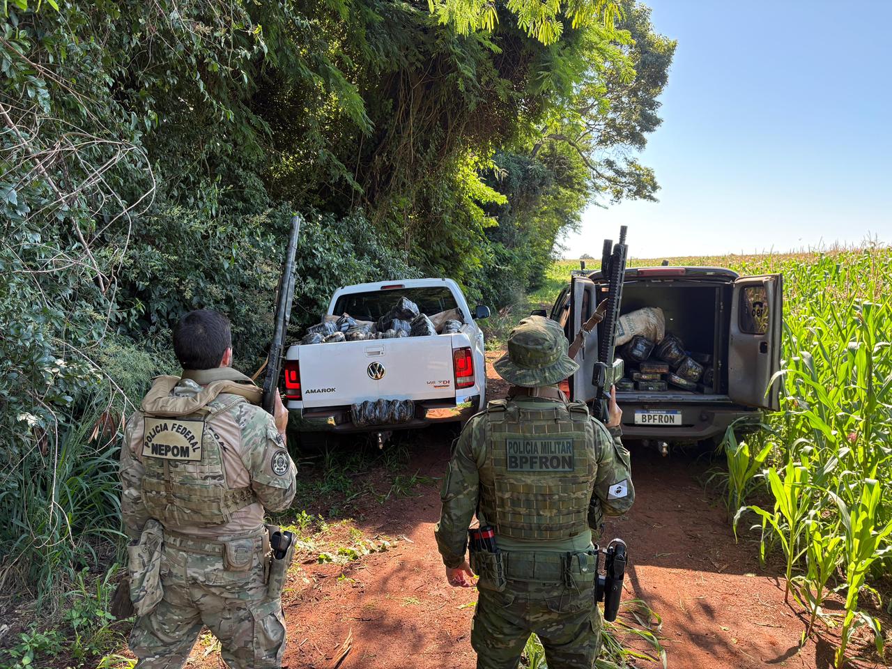 Quase 400 kg de maconha são apreendidos na área rural de Guaíra Imagem referente a Quase 400 kg de maconha são apreendidos na área rural de Guaíra
