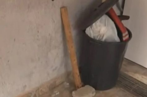 Sogra relata porque deu paulada em genro “Não me arrependo”