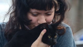 Programa da Prefeitura de SP faz castração gratuita de cães e gatos