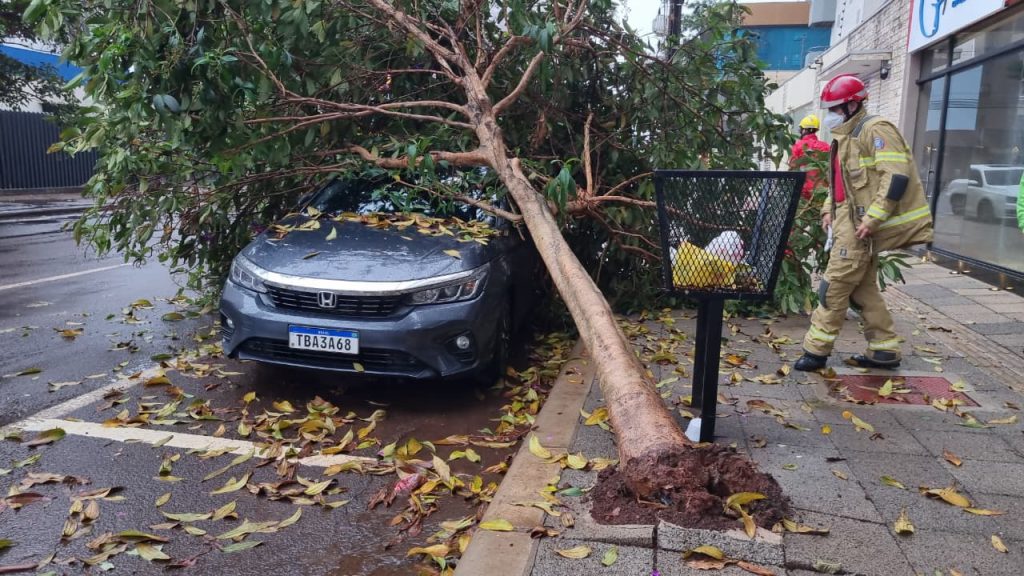 Árvore cai sobre carro de casal estacionado no Centro