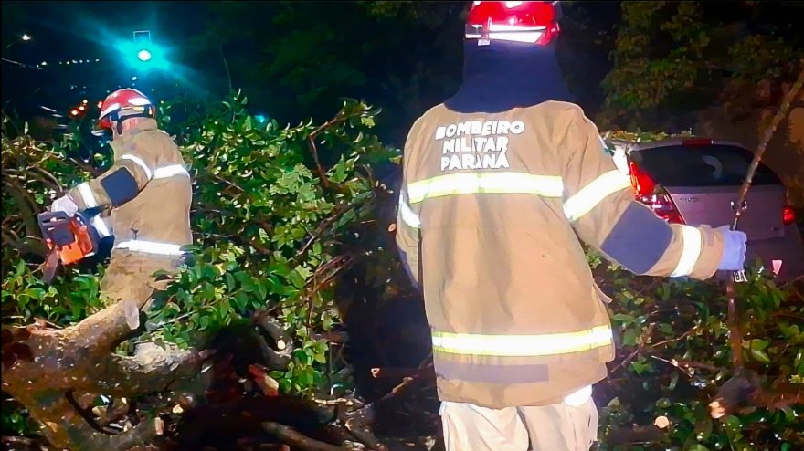 Árvore cai e interdita via no Centro de Cascavel