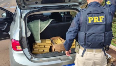 Imagem referente a PRF apreende mais de 50 kg de maconha na BR-277, em Cascavel
