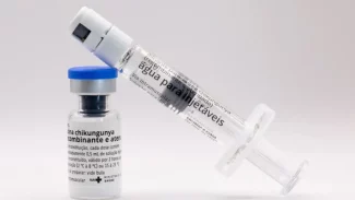População de Dourados (MS) começa a receber vacina contra chikungunya