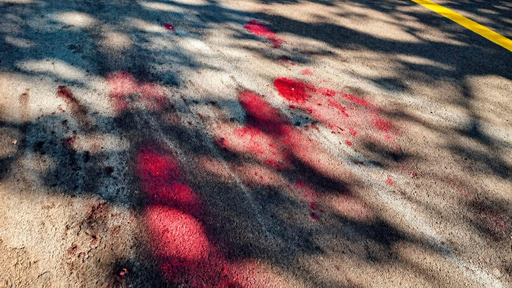 Homem mata pitbull a tiros após ser atacado no Bairro Maria Luiza, em Cascavel