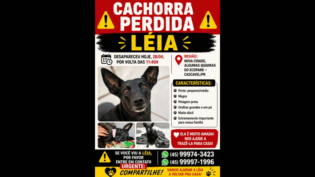 Cachorra Léia desapareceu no bairro Santa Felicidade
