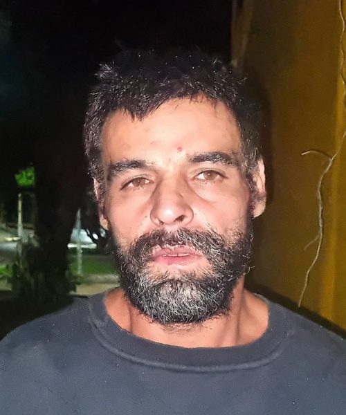 Imagem referente a Caso do pitbull: homem que derrubou portão com carro apresenta sua versão e diz ter agido para salvar animal