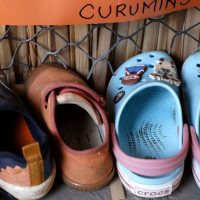 Imagem referente a Censo: 17% de creches e pré-escolas têm itens básicos para funcionar