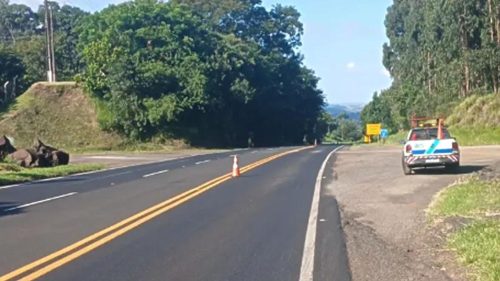 PR-483 terá interdição temporária ao meio-dia desta quarta-feira em Francisco Beltrão