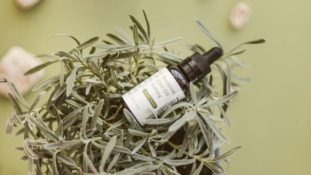 CBD: 5 usos surpreendentes que poucos conhecem